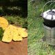 Mielie-potjie-bread-recipe